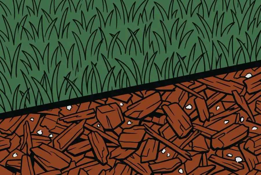 Illustrated close-up study of turf blades beside a mulch bed edge, in muted steel and moss-green tones.